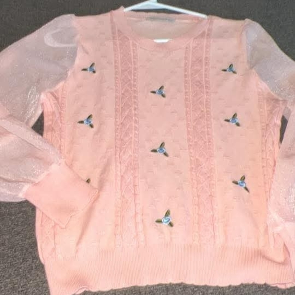 Delicate Pink Sweater with Sheer Sleeves